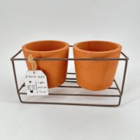 Terracotta pot with “Please add light, water & love” tag
