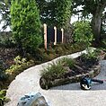 Review of Little Shaggy Moss (Rhytidiadelphus Loreus) - Naturally Sourced Carpet Moss by Kathleen Garrard