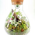 terrarium workshop