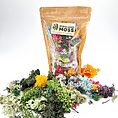 Preserved Reindeer Moss Colour Bundle