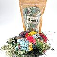 Preserved Reindeer Moss Colour Bundle
