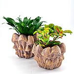 Rustic Bronze Golden Mushroom Planter