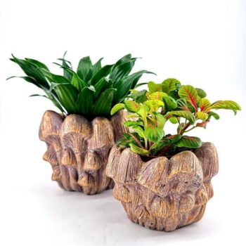 Handcrafted earthy plant pots with vibrant green and colourful foliage, on a white background.