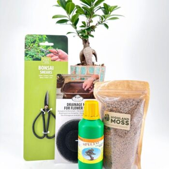 Bonsai tools and supplies with tree, shears, drainage net, fertilizer, and moss for gardening.