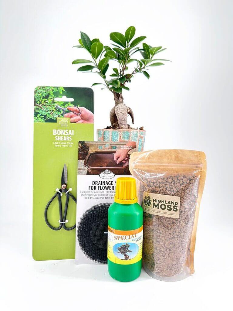 Plant Care