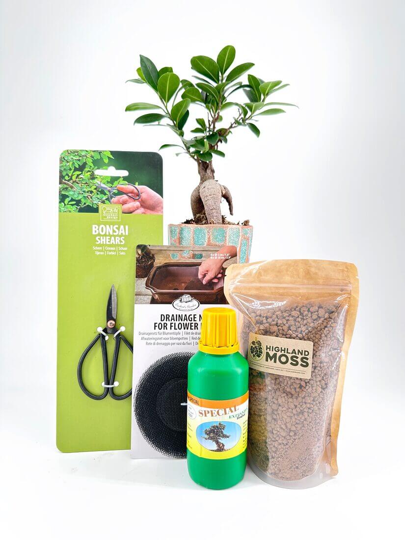Bonsai tools and supplies with tree, shears, drainage net, fertilizer, and moss for gardening.