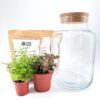 Classic Terrarium Starter Kit DIY
