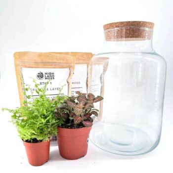 Classic Terrarium Starter Kit DIY