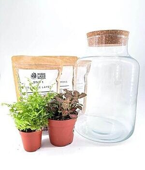 Classic Terrarium Starter Kit DIY