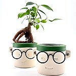 Geek Harry Glasses Face Planter