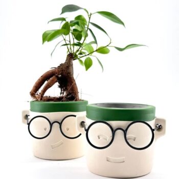 Geek Harry Glasses Face Planter
