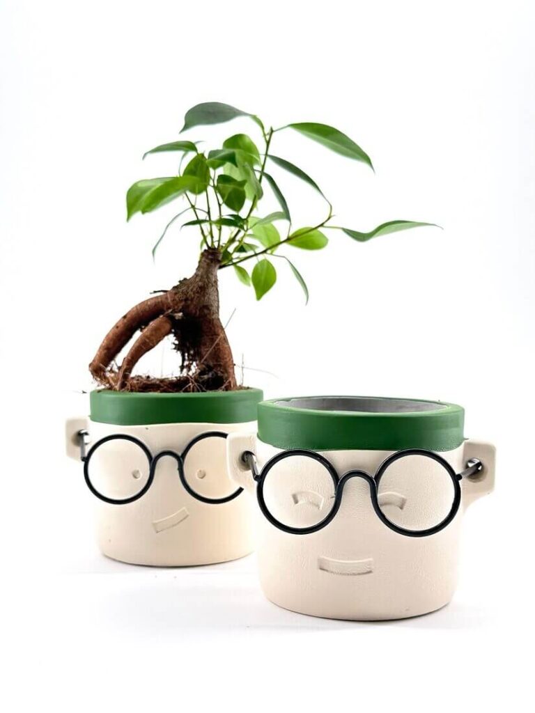Geek Harry Glasses Face Planter