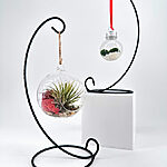 Black Metal Globe Display Stand