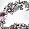 Heart-shaped vine leaves with pink edges on a trained arc, against a bright background.