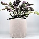 Sand Effect Planter