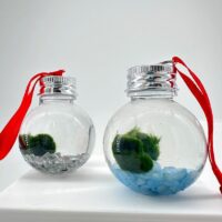 Festive Marimo Moss Ball Ornament