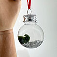 Festive Marimo Moss Ball Ornament