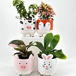 Ceramic Animal Planter