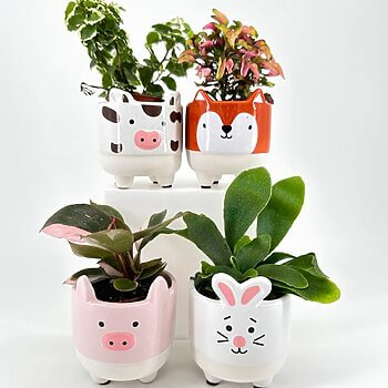 Animal-themed plant pots featuring cow, fox, pig, and rabbit designs with vibrant foliage.