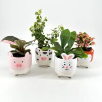 Farm animal-themed plant pots with pig, cow, rabbit, and fox designs, featuring various plants.
