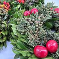img_0648