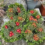 Fresh Christmas Wreath