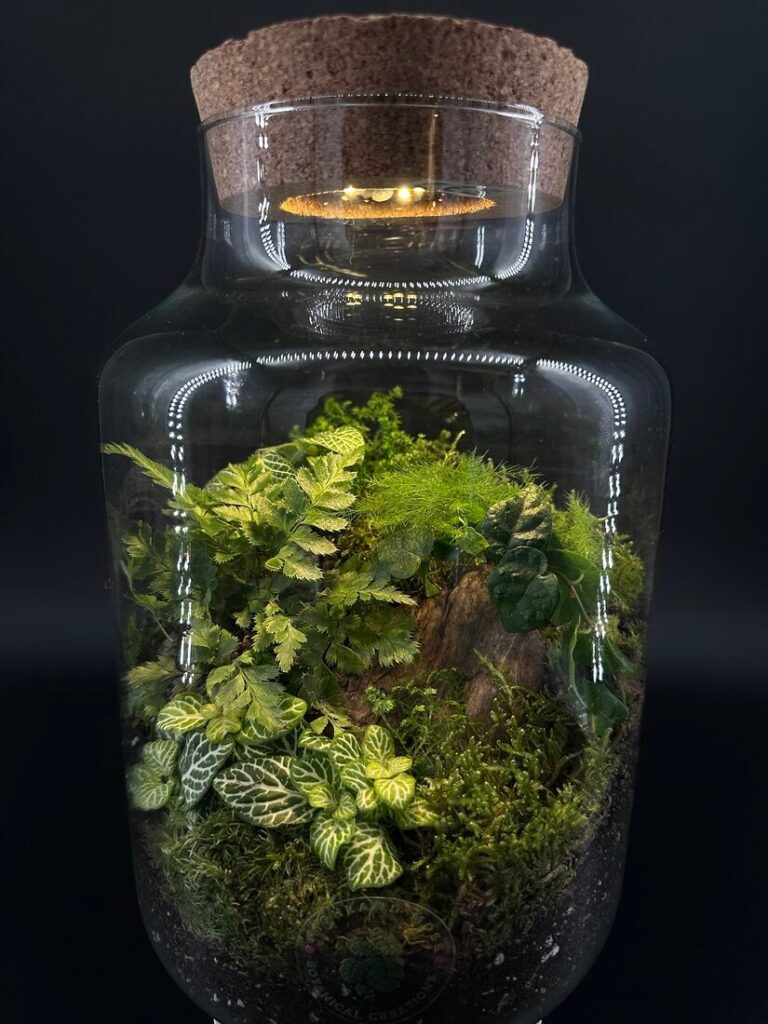 LED Terrarium Cork Lid with Light