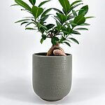 Minimalistic Sage Green Planter