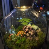 terrarium workshop