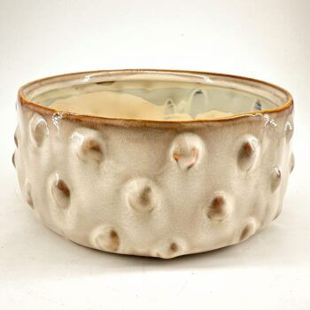 Stylish ceramic bowl with textured design and glossy finish, perfect for decor or serving.