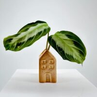 Ceramic house with vibrant leaves, showcasing modern decor and the harmony of nature and design.
