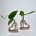 Heart-shaped wooden vases with lush plants, perfect for adding elegance to any space.