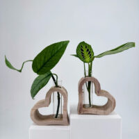 Heart-shaped wooden vases with lush plants, perfect for adding elegance to any space.