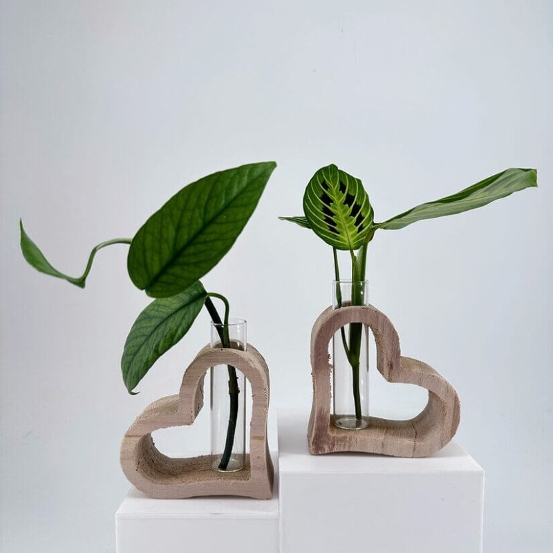 Charming Heart-Shaped Vases with Vibrant Greenery Heart-shaped wooden vases with lush plants, perfect for adding elegance to any space.