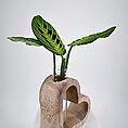 Heart-shaped wooden planter with vibrant green leaves in a sleek glass tube.
