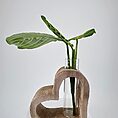Heart-shaped wood vase with glass insert and vibrant green foliage for elegant decor.