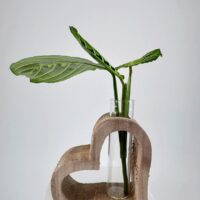 Heart-shaped wood vase with glass insert and vibrant green foliage for elegant decor.
