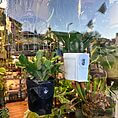 Vibrant plant shop display with hanging succulent planters creates a modern indoor garden ambiance.