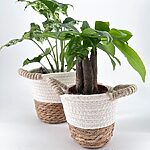 Seagrass Woven White Stripe Rustic Basket Planter