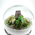 Beautiful terrarium showcasing a miniature woodland ecosystem with vibrant plants and natural decor.