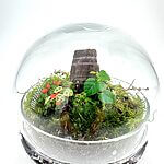 Terrarium Globe Dome Eco-Glass