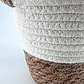Elegant woven plant pot with earthy tones, featuring a lush green plant, perfect for home decor.