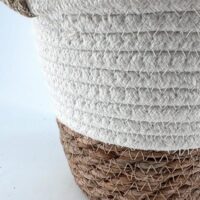 Elegant woven plant pot with earthy tones, featuring a lush green plant, perfect for home decor.