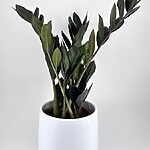 White Glazed Planter Large