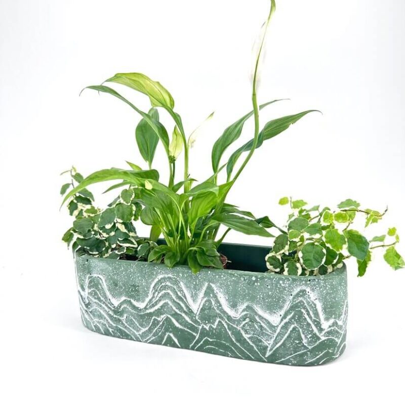 Artistic Indoor Planter with Lush Green Plants Elegant indoor planter with greenery showcasing Peace Lily and vibrant plants in artistic pot.