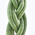 Intricately braided green vines creating a vibrant and elegant natural design.
