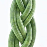 Intricately braided green vines creating a vibrant and elegant natural design.