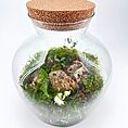 Beautiful terrarium with moss, plants, and bark in a glass jar with cork lid.