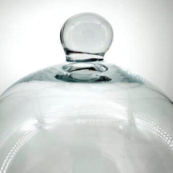 Elegant glass cloche showcasing stunning craftsmanship and reflections, perfect for home decor.
