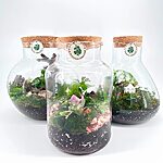 Terrarium DIY Kit Builder – Create Your Own Mini Ecosystem